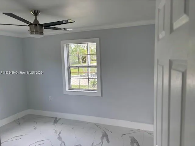 3954 Coconut