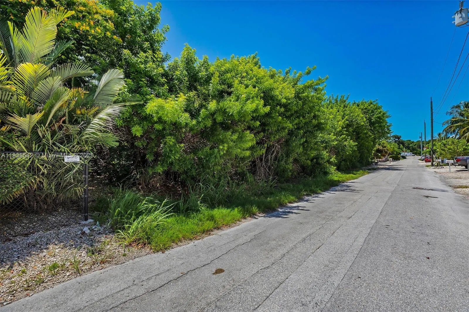 0 Poinciana and Lakeview Drive