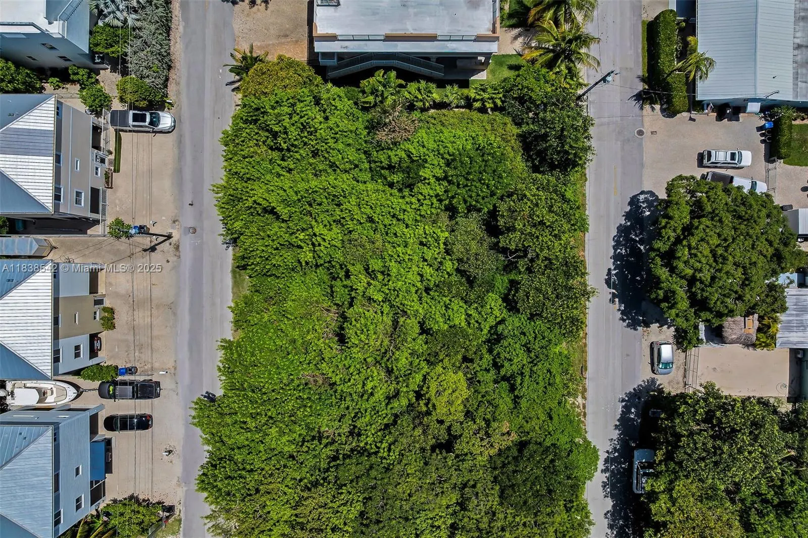 0 Poinciana and Lakeview Drive