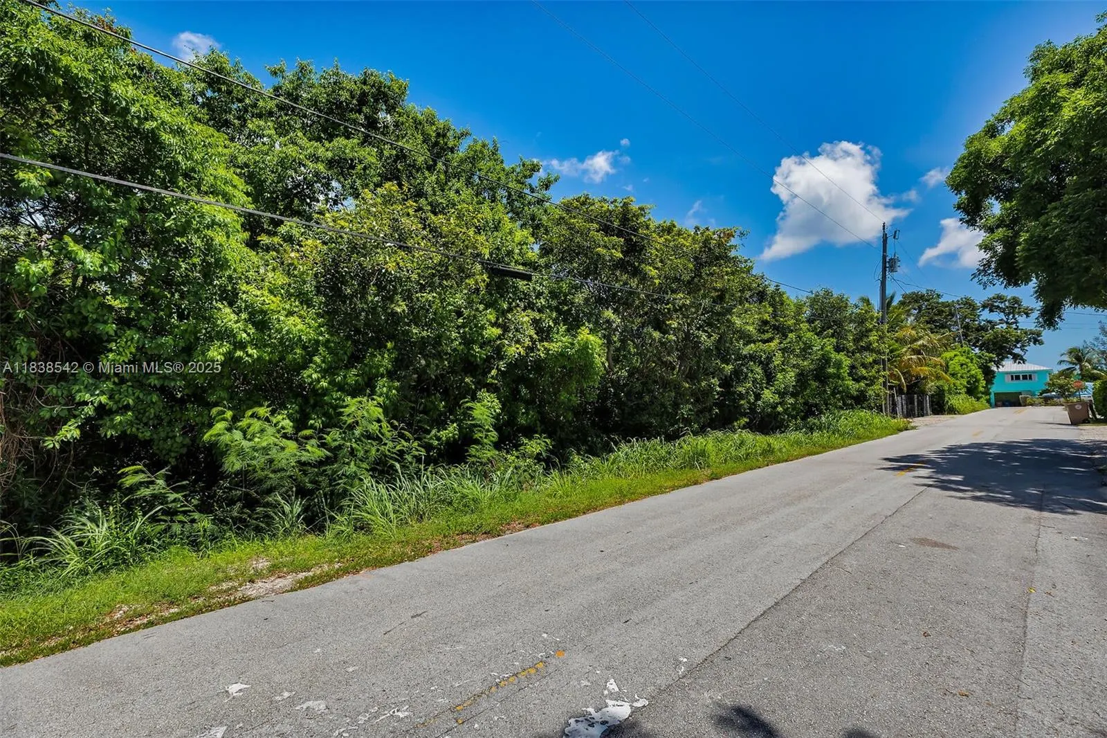 0 Poinciana and Lakeview Drive