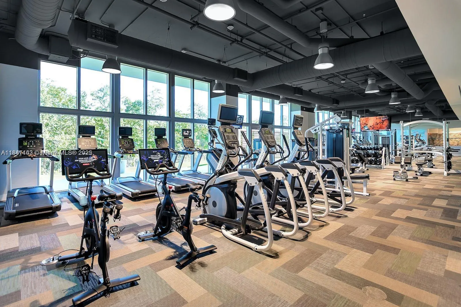 16385 Biscayne Blvd, #1205