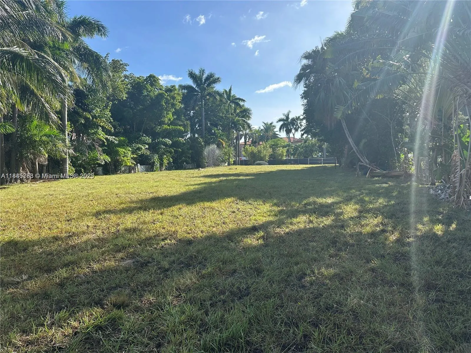93 Palm Ave