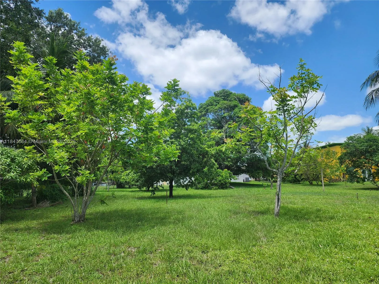 424 Bayberry Dr