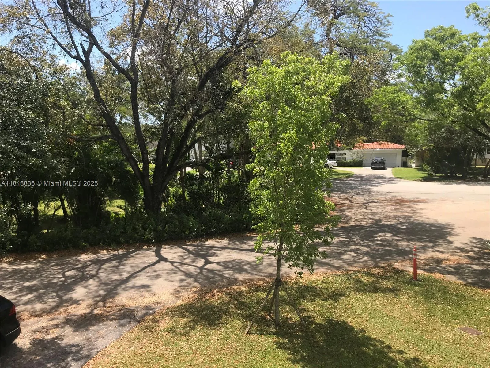 1239 Mariposa Ave, #7