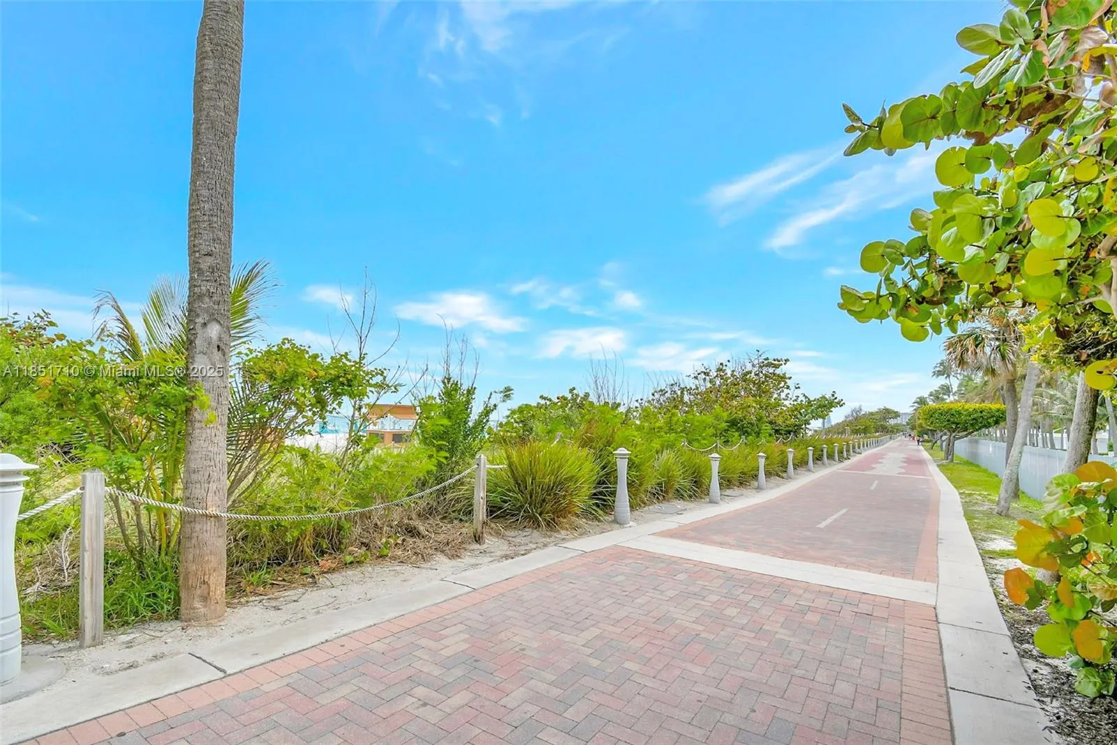 2924 Collins Avenue, #303