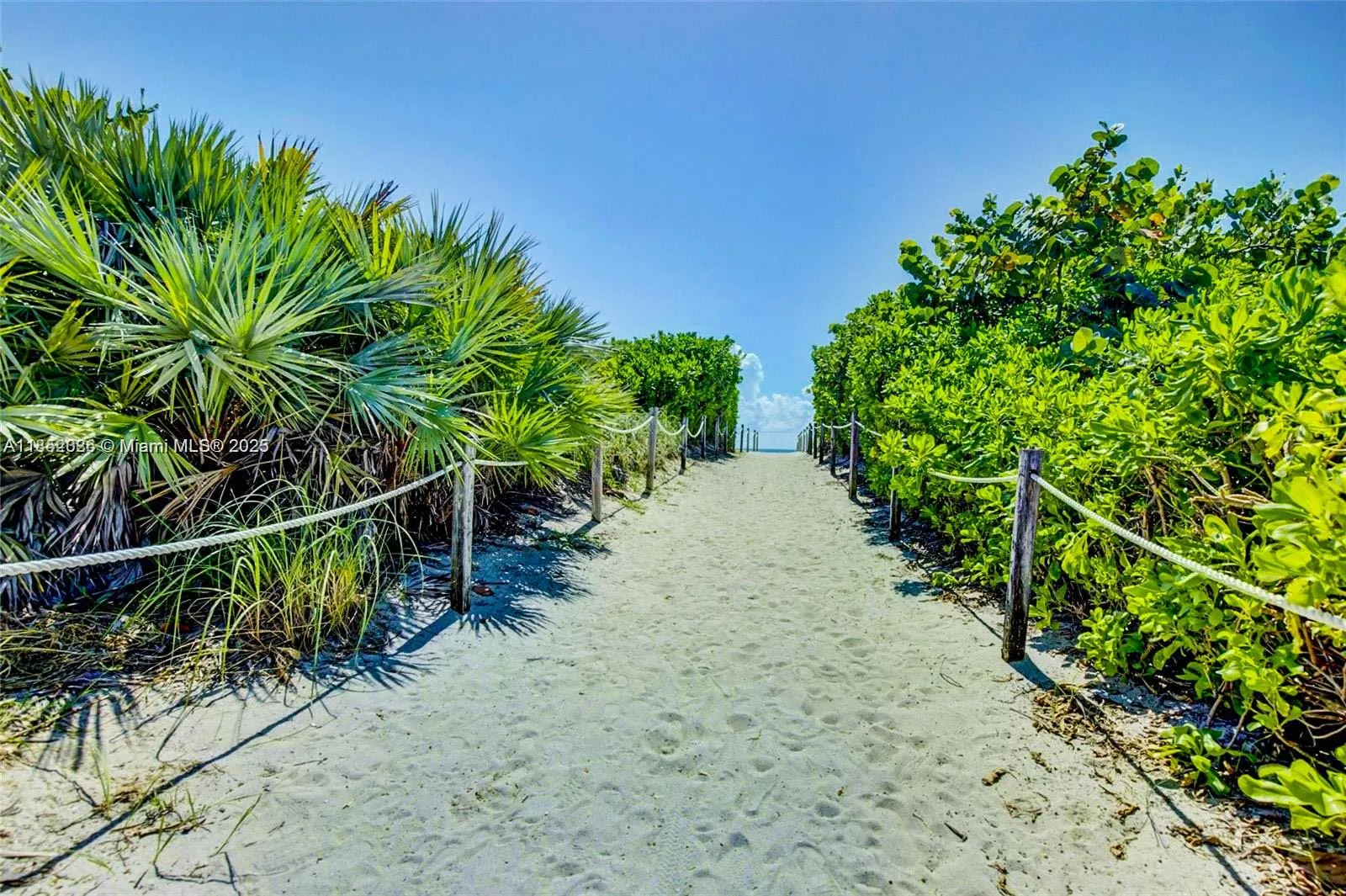 701 Collins Ave, #1F