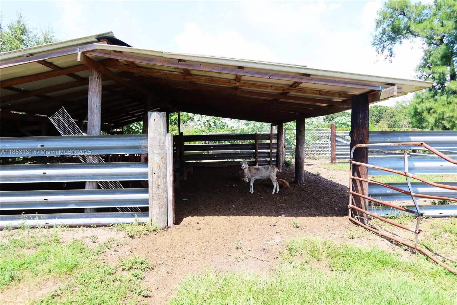 1321 BLUFF HAMMOCK RD