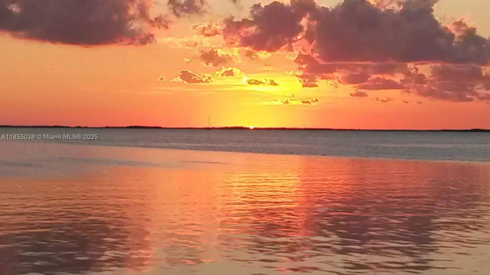 325 Calusa St   Lot 227