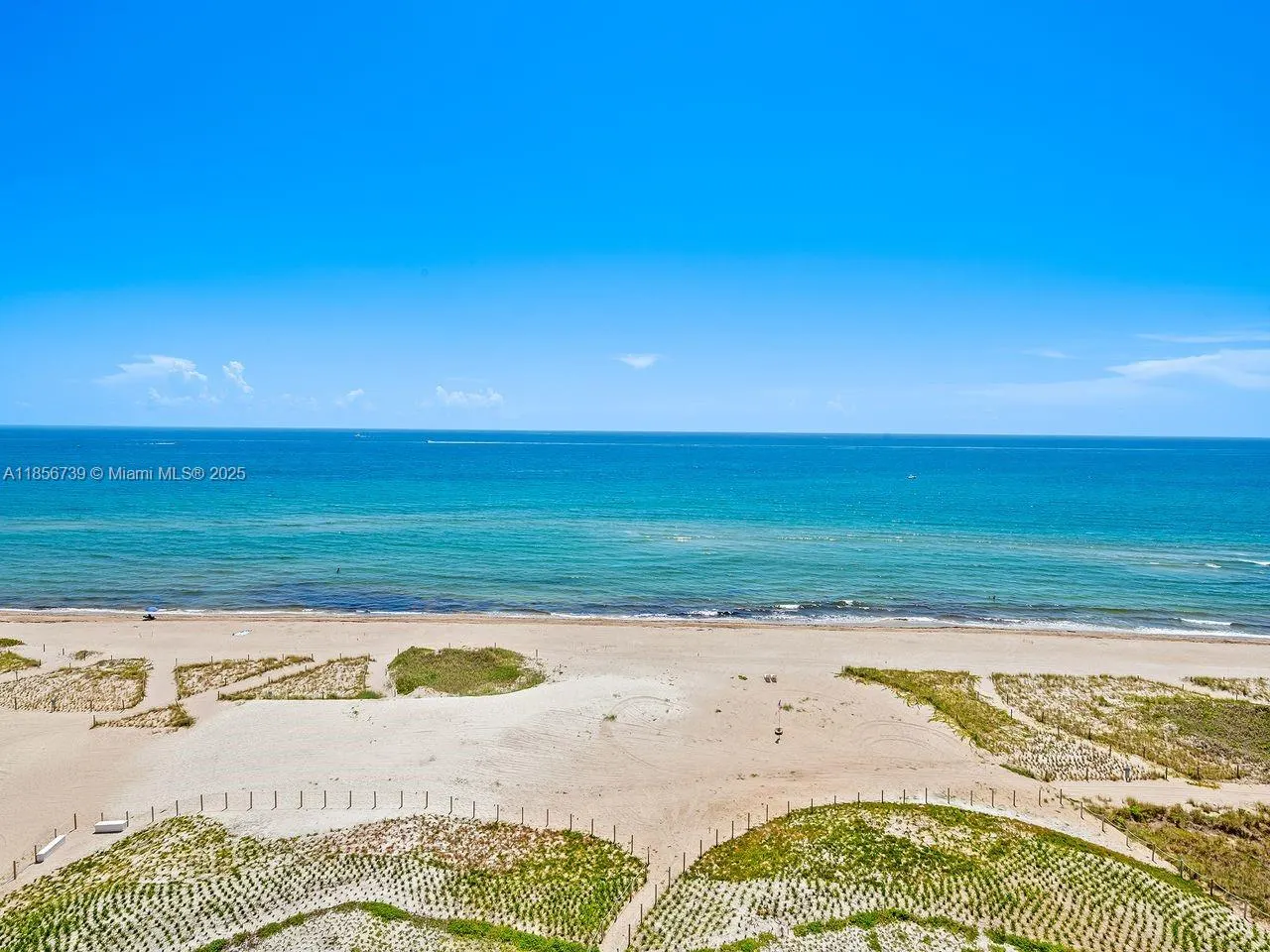 900 N Ocean, #1004