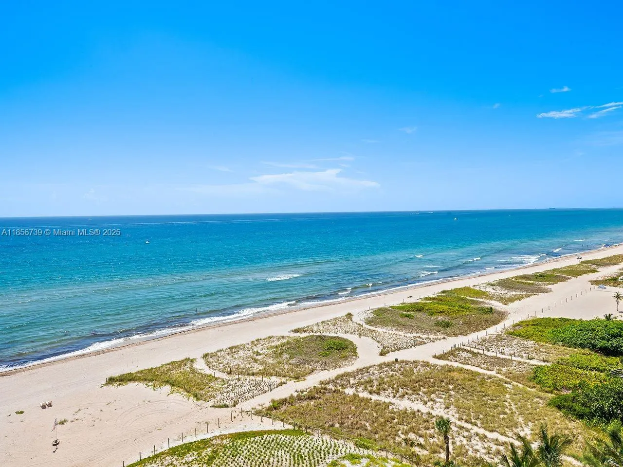 900 N Ocean, #1004