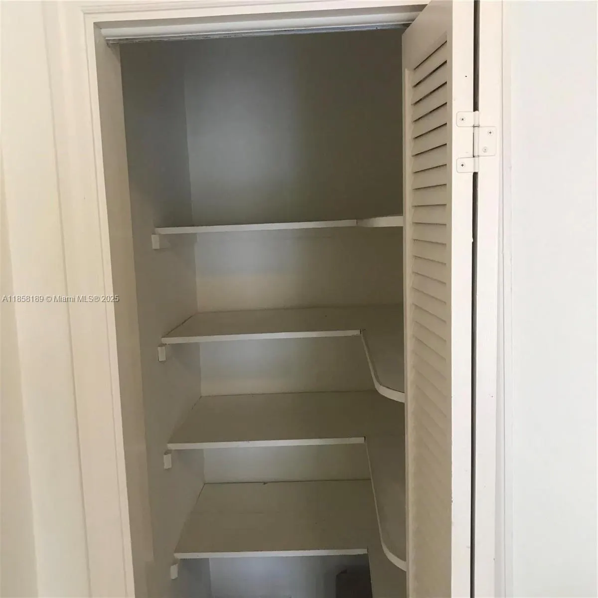 1239 Mariposa Ave, #4