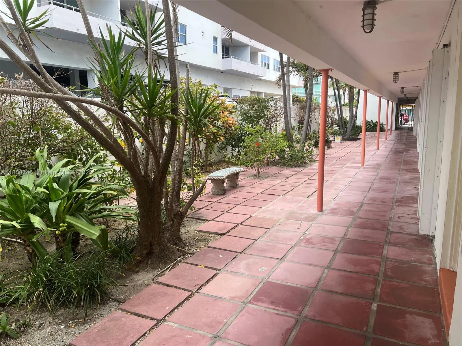 9241 Collins, #1