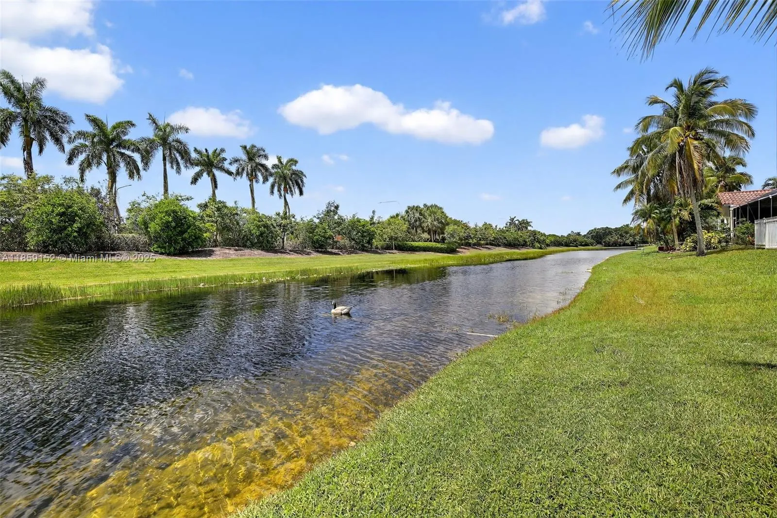1154 Laguna Springs Dr