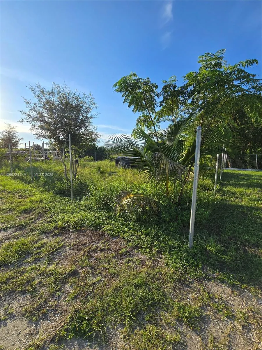580 N Olivo