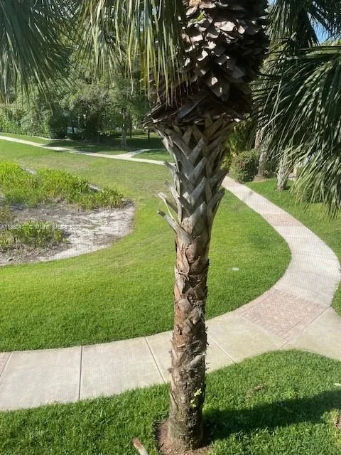 22111 Majestic Woods Way, #22111