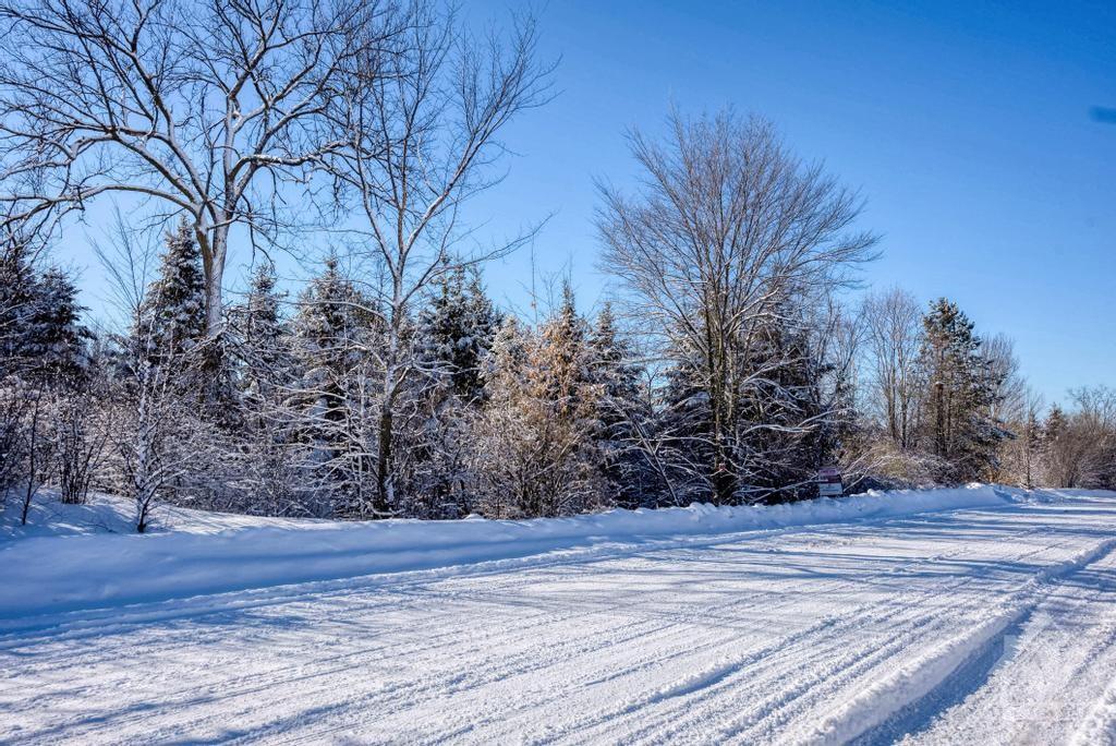 Listing 1322241 - Large Photo # 3