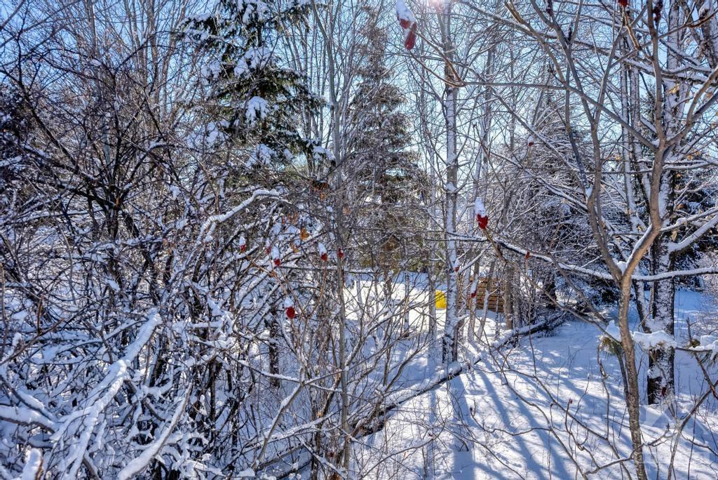 Listing 1322241 - Large Photo # 4