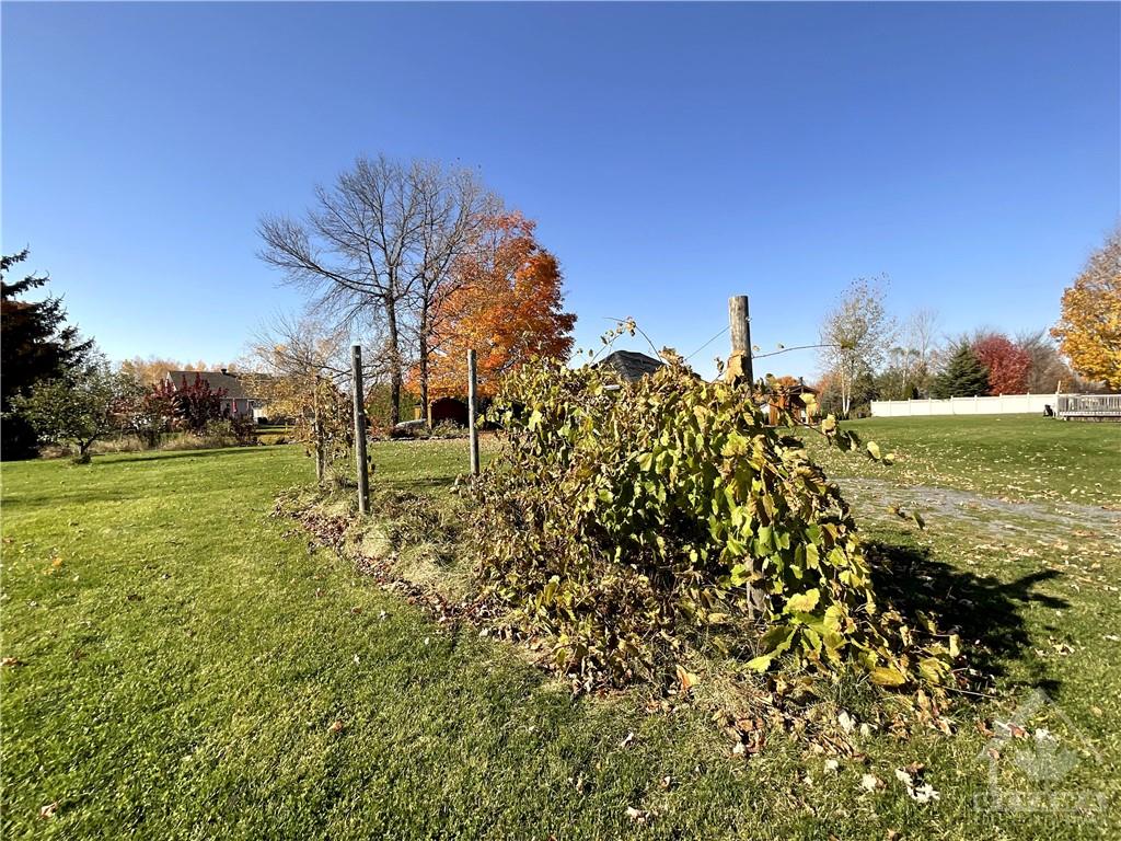 26 PENNY Lane