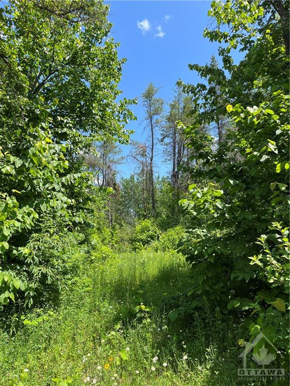 6753 DEER RUN Place