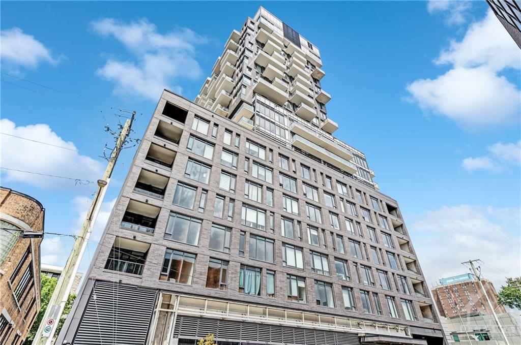 203 CATHERINE Street, #502