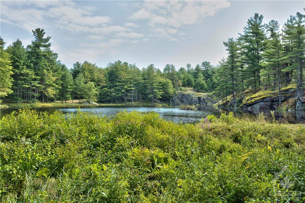 Lot 7-8 CONCESSION 5 Estate