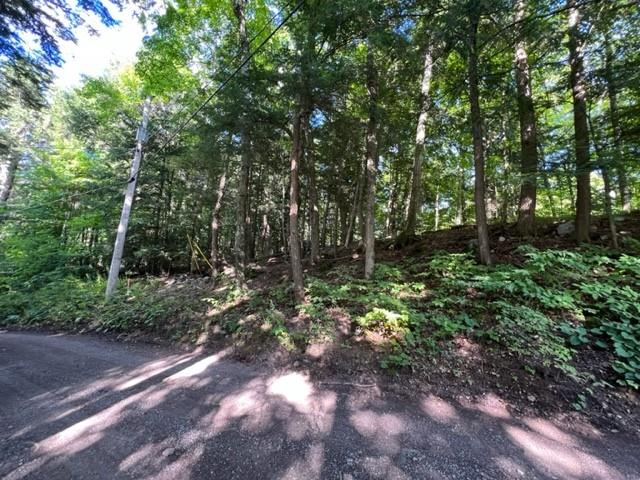 0 FOSTER BAY Lane