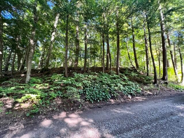 0 FOSTER BAY Lane
