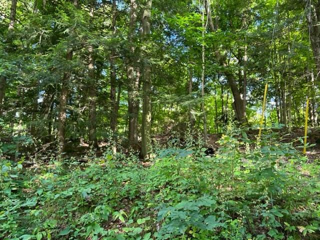 0 FOSTER BAY Lane