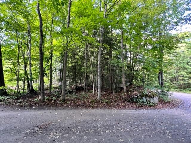 0 FOSTER BAY Lane