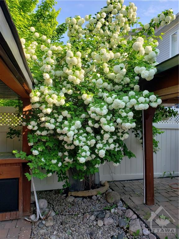 2251 CLERMONT Crescent
