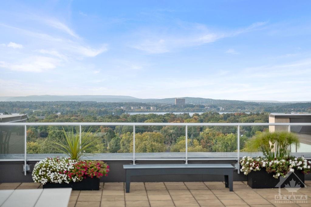 98 RICHMOND Road, #607