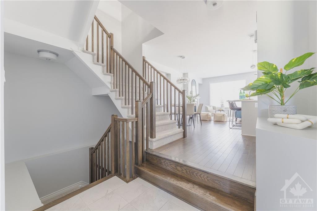 177 ANGELONIA Crescent