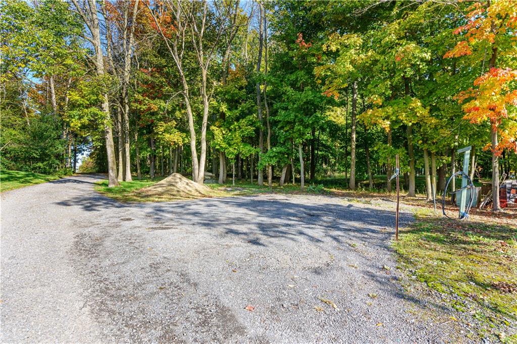 19564 COUNTY 2 Road, #1
