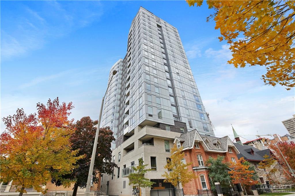 428 SPARKS Street, #1204