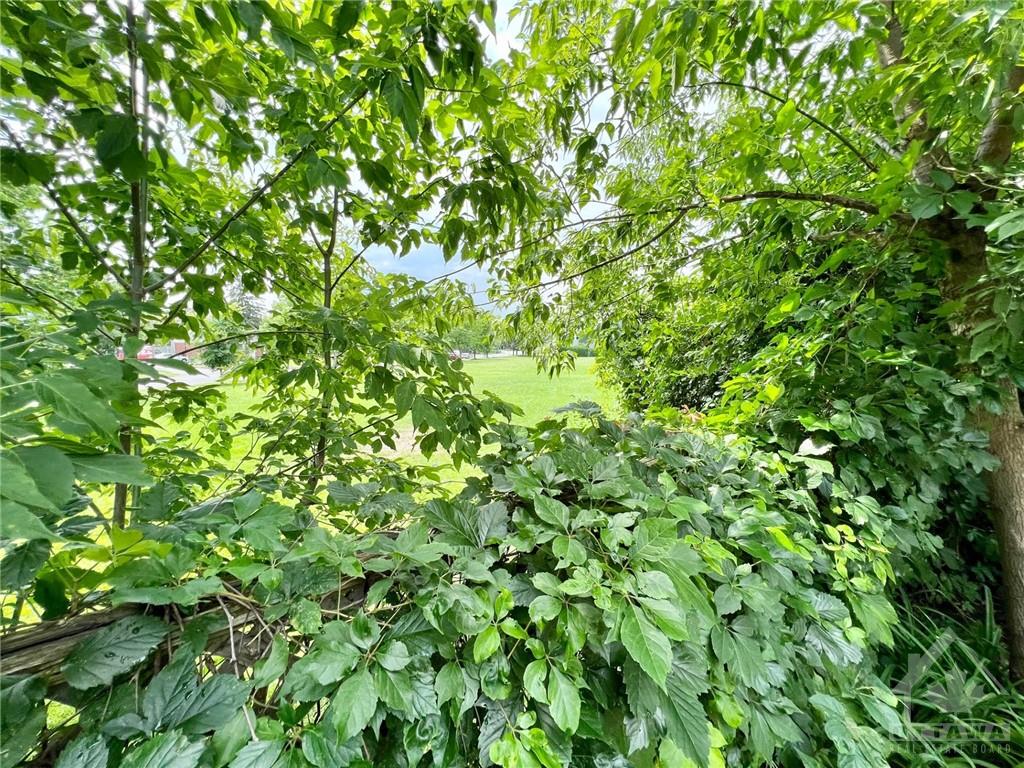 222 TWYFORD Street
