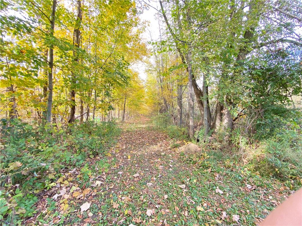 20801 OLD HIGHWAY 2 Road