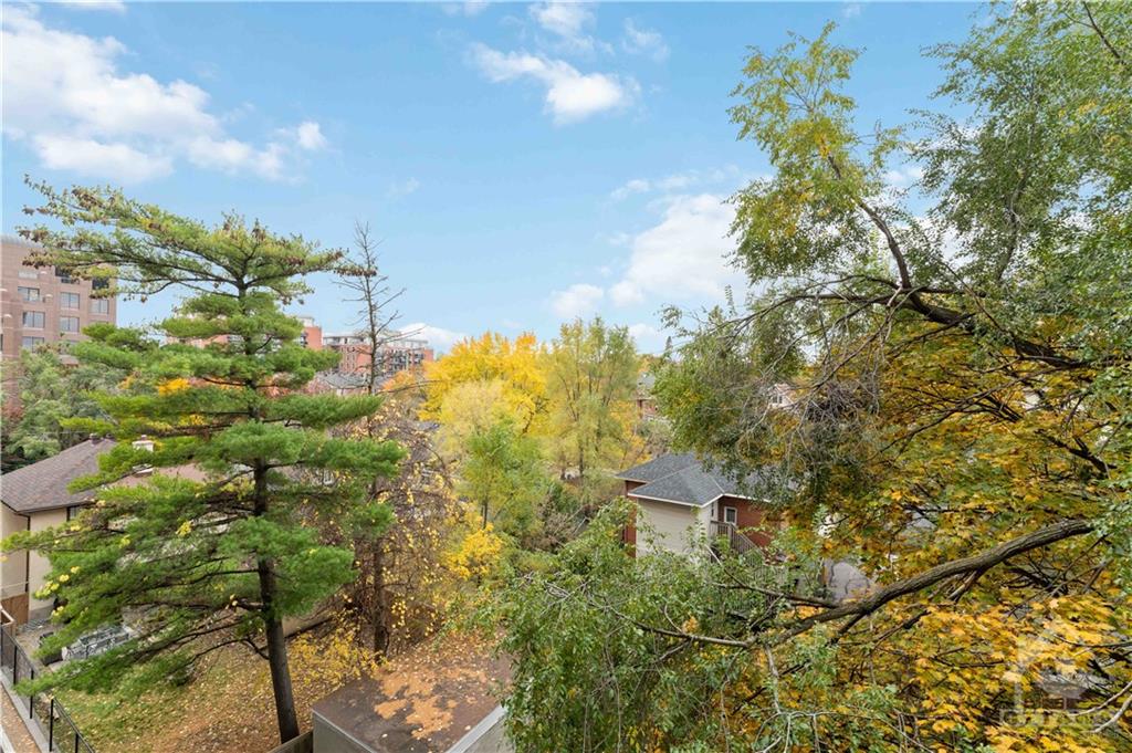 100 CHAMPAGNE Avenue S, #511