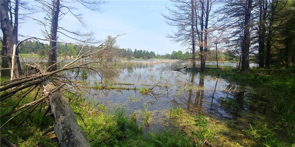 LOT 21 OLD RIVER Road