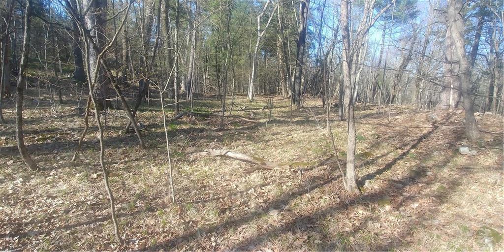 LOT 21 OLD RIVER Road