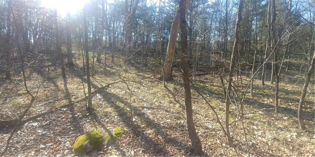 LOT 21 OLD RIVER Road
