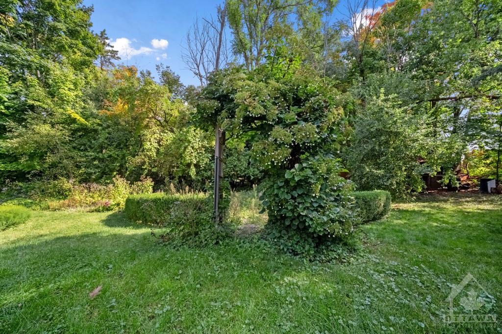 49 CEDAR Road