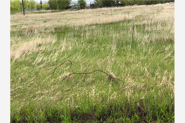 RR214 1 Avenue, Falher