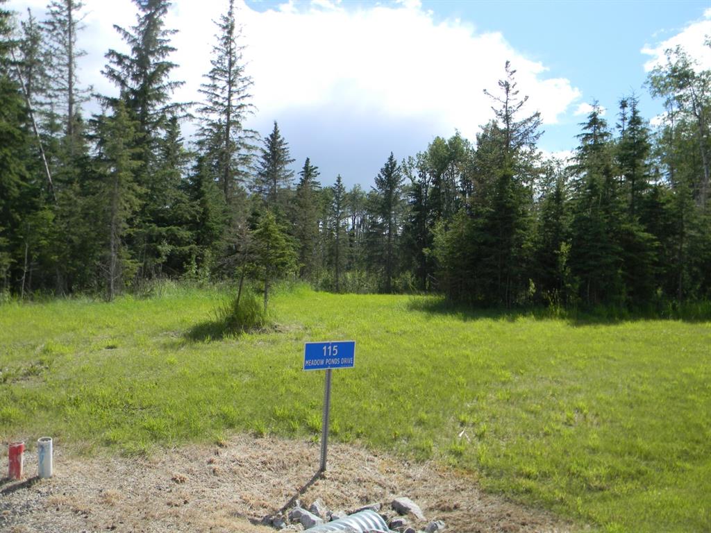 Listing A1020971 - Large Photo # 3