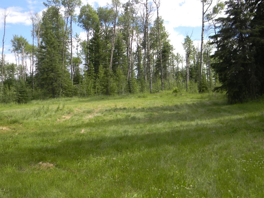Listing A1021050 - Large Photo # 7