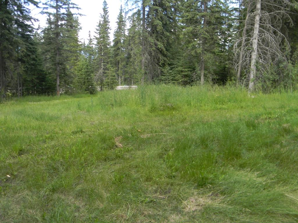 Listing A1021056 - Large Photo # 5