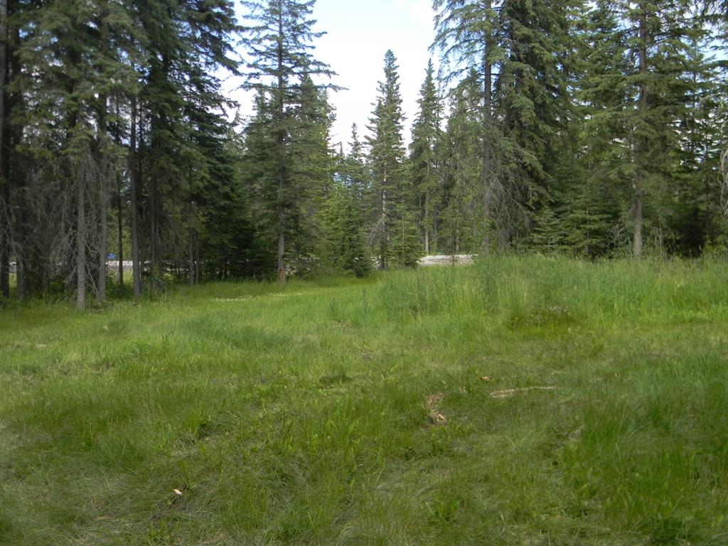 Listing A1021056 - Large Photo # 4