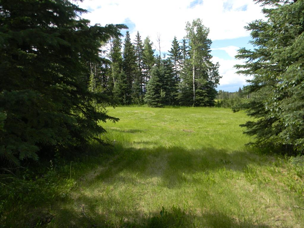 Listing A1021107 - Large Photo # 4