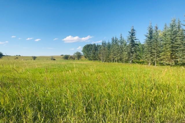 Lot 2 - 2190 Eagle Bend Place E, Rural Foothills County