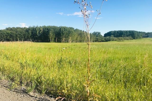 LOT 7, 2189 Eagle Bend Place, Rural Foothills County