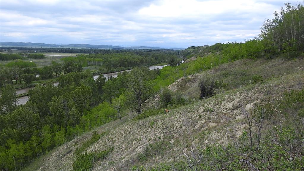 Listing A1231138 - Large Photo # 16